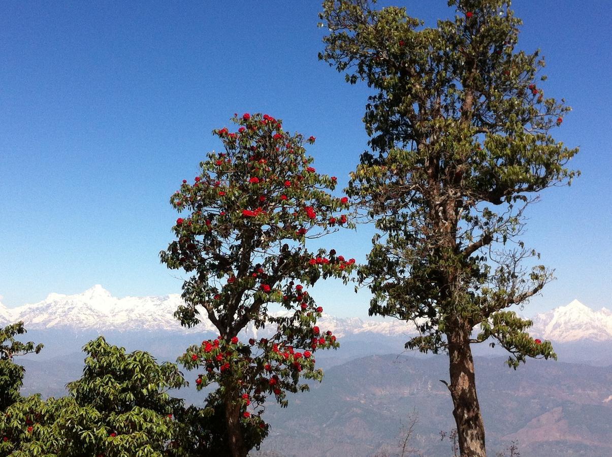 Вилла Thikalna Himalayan Retreat Алмора Экстерьер фото